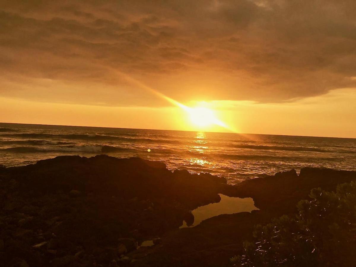 Unwind On Your Fantasy Hawaiian Vacation- 1Bd/1Ba Condo In Kailua-Kona, Hawaii 外观 照片
