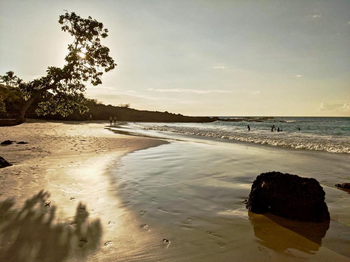 Unwind On Your Fantasy Hawaiian Vacation- 1Bd/1Ba Condo In Kailua-Kona, Hawaii 外观 照片